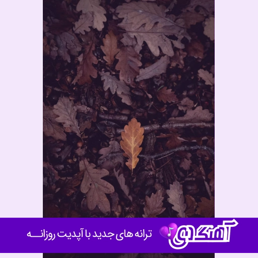 دانلود آهنگ یهو چیشد همه دنیا قفس شد با صدای زن هوش مصنوعی
