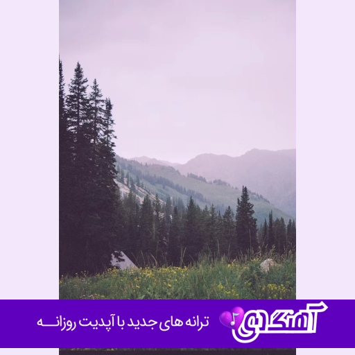 دانلود آهنگ من از این شهر شلوغ از این شهر پر دروغ به کجا سفر کنم با صدای زن