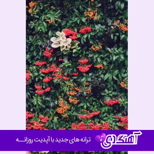 دانلود آهنگ آره هنوزم دارم گردنبندو هنوزم میخوام که برگردی با صدای زن و دختر هوش مصنوعی