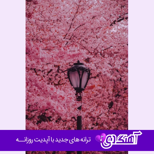 دانلود آهنگ قلبم غمگینه بازم دوریت سنگینه واسم با صدای زن و مرد هوش مصنوعی