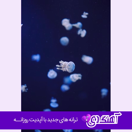 دانلود آهنگ بهاره دل و جان باش خزان هم اگر آمد نشان من و تو هوش مصنوعی