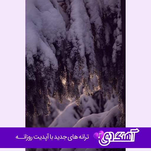دانلود ریمیکس طولانی علیرضا اسپید ۱۴۰۵ remix alireza speed
