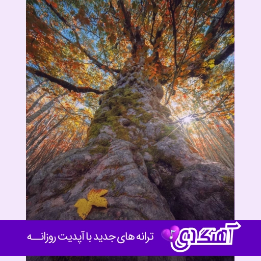 آهنگ بیا مهتاب قشنگه دلم با تو یه رنگه صدای زن هوش مصنوعی