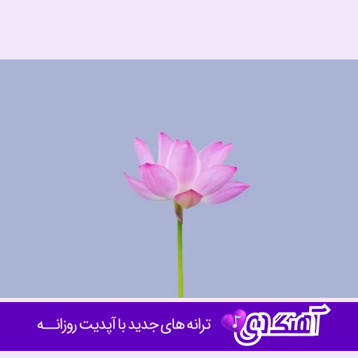 دانلود آهنگ من یه دهه هفتادیم یه روزگاره سر دارم پیانیک شادمهر ریمیکس