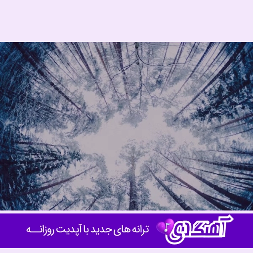 آهنگ مرتضی جوان بلند بالا به بالا ماندیوم مو ریمیکس اینستا
