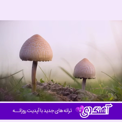 دانلود آهنگ خدا به همرات بره کسی نتات جات دگه با صدای زن هوش مصنوعی