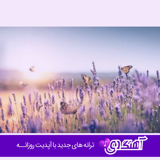 آهنگ احترامت واجبه ولی برو نمیخوام نه دیگه هیچ جوره کوتاه نمیام امیر لیام ریمیکس