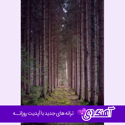 دانلود آهنگ بارون و ببین داره میشینه آروم روی موهات ریمیکس اینستا