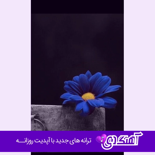 آهنگ ترکی وای وای وای وای با صدای زن هوش مصنوعی ریمیکس الشن پرو
