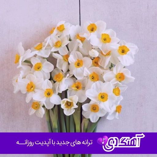 آهنگ از داغ غمت هرکه دلش سوختنی نیست معین هوش مصنوعی ریمیکس Moein az daghe ghamat