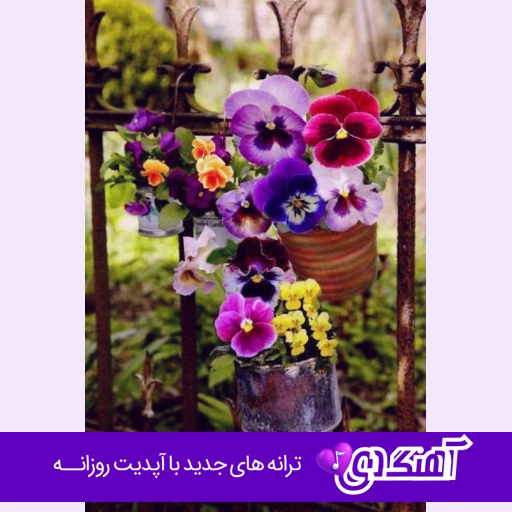 دانلود آهنگ هیشکی مثل تو نیست بد ذات الکی شدی بد فاز سمی لون ریمیکس