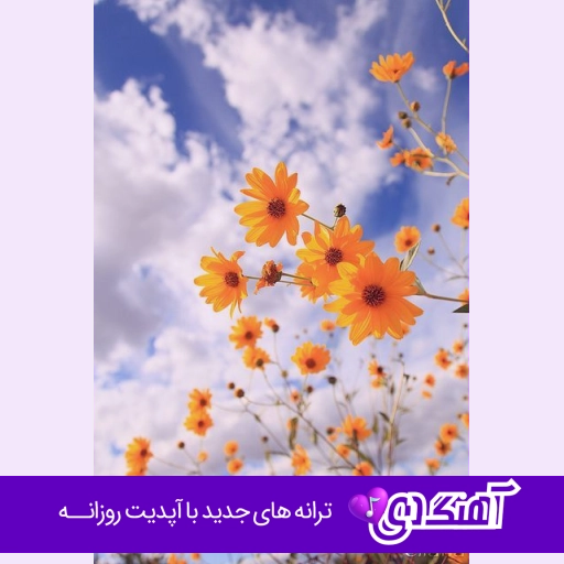 دانلود آهنگ قلم بنویس حالم را شکسته غصه بالم را با صدای زن هوش مصنوعی