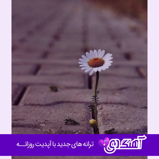 دانلود آهنگ سرکار مه مجنونم اینم خانه ی لیلاس ریمیکس اینستا